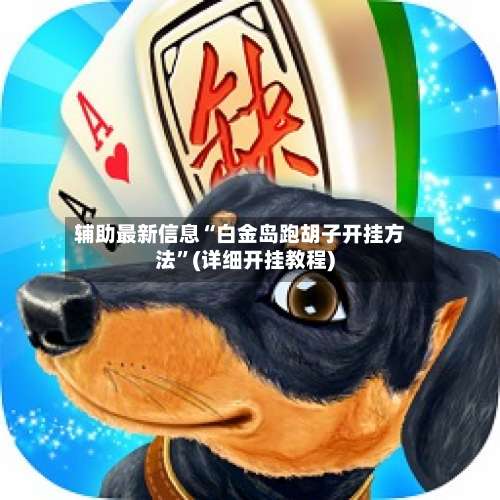 辅助最新信息“白金岛跑胡子开挂方法	”(详细开挂教程)-第1张图片