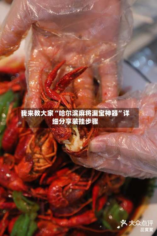 我来教大家“哈尔滨麻将漏宝神器	”详细分享装挂步骤-第1张图片