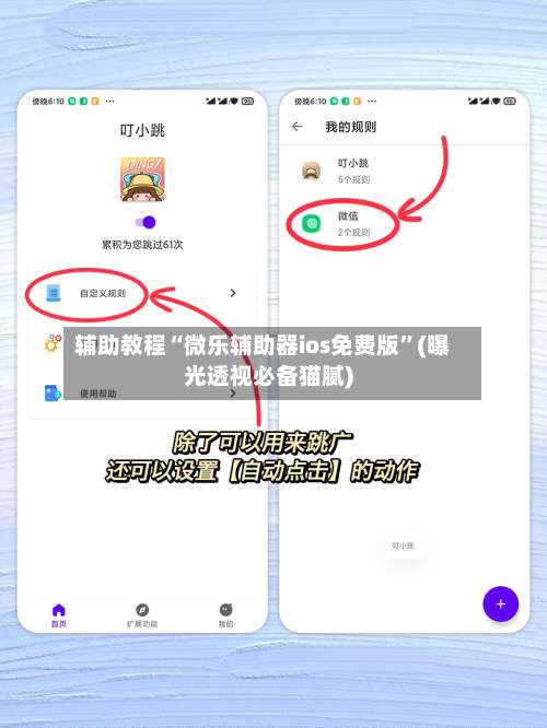 辅助教程“微乐辅助器ios免费版	”(曝光透视必备猫腻)-第1张图片