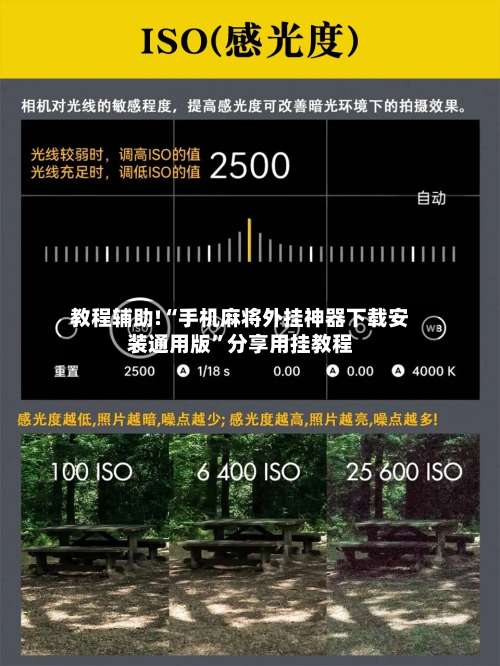 教程辅助!“手机麻将外挂神器下载安装通用版	”分享用挂教程-第3张图片