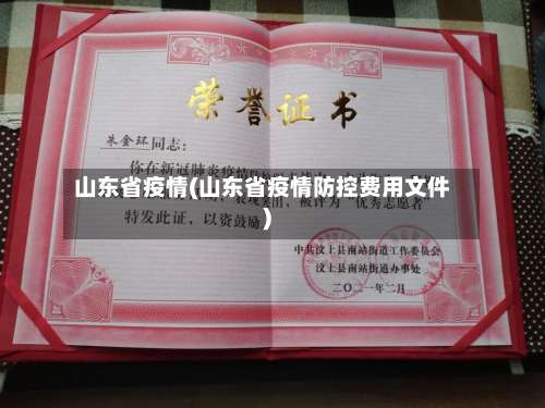 山东省疫情(山东省疫情防控费用文件)-第2张图片