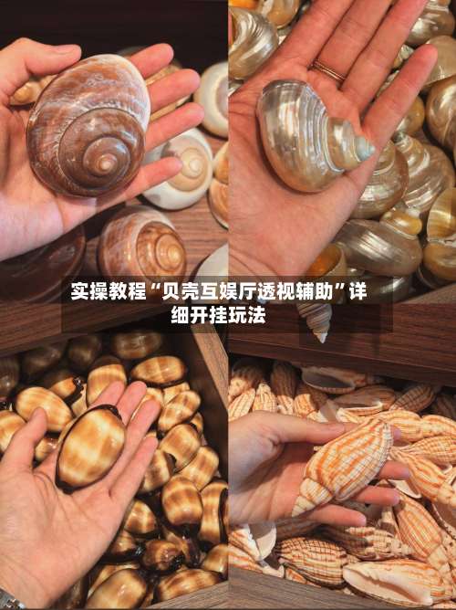 实操教程“贝壳互娱厅透视辅助”详细开挂玩法-第3张图片