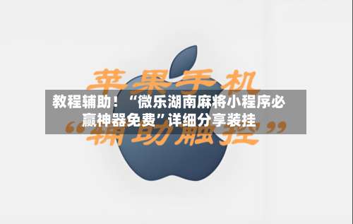教程辅助！“微乐湖南麻将小程序必赢神器免费”详细分享装挂-第1张图片