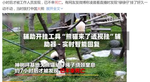 辅助开挂工具“熊猫来了透视挂	”辅助器 - 实时智能回复-第2张图片