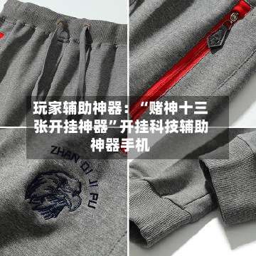 玩家辅助神器：“赌神十三张开挂神器”开挂科技辅助神器手机-第1张图片