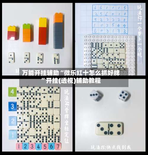 万能开挂辅助“微乐红十怎么抓好牌	”开挂(透视)辅助教程-第1张图片