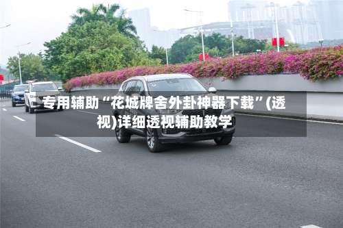 专用辅助“花城牌舍外卦神器下载”(透视)详细透视辅助教学-第1张图片