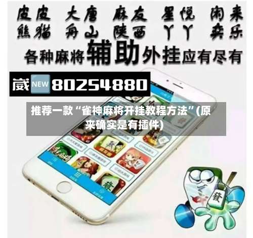 推荐一款“雀神麻将开挂教程方法”(原来确实是有插件)-第2张图片