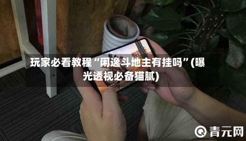 玩家必看教程“闲逸斗地主有挂吗”(曝光透视必备猫腻)-第2张图片