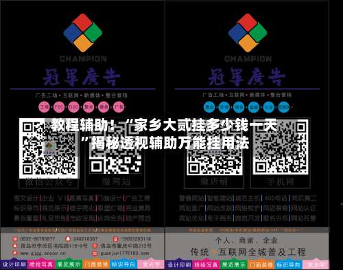 教程辅助！“家乡大贰挂多少钱一天”揭秘透视辅助万能挂用法-第2张图片