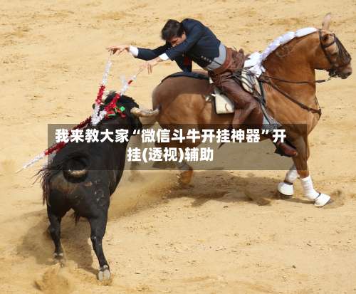 我来教大家“微信斗牛开挂神器	”开挂(透视)辅助-第3张图片