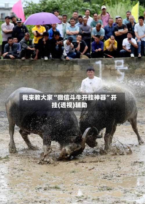 我来教大家“微信斗牛开挂神器”开挂(透视)辅助-第2张图片