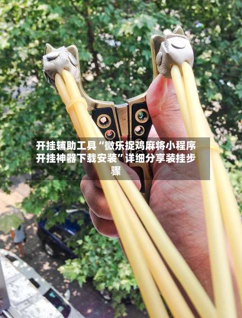 开挂辅助工具“微乐捉鸡麻将小程序开挂神器下载安装	”详细分享装挂步骤-第2张图片