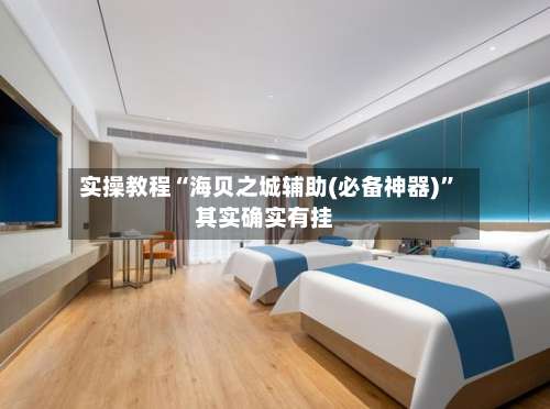 实操教程“海贝之城辅助(必备神器)”其实确实有挂-第2张图片