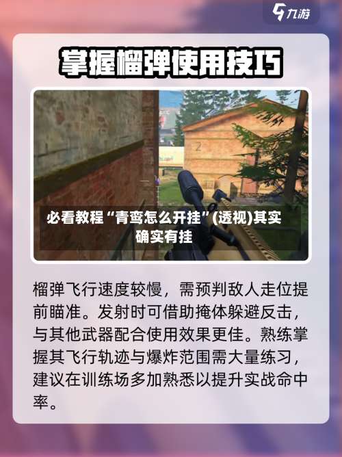 必看教程“青鸾怎么开挂”(透视)其实确实有挂-第1张图片