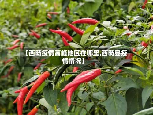 【西畴疫情高峰地区在哪里,西畴县疫情情况】-第2张图片