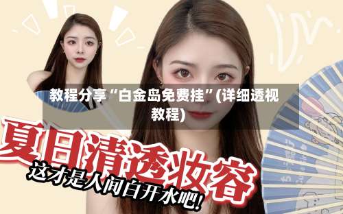 教程分享“白金岛免费挂	”(详细透视教程)-第1张图片