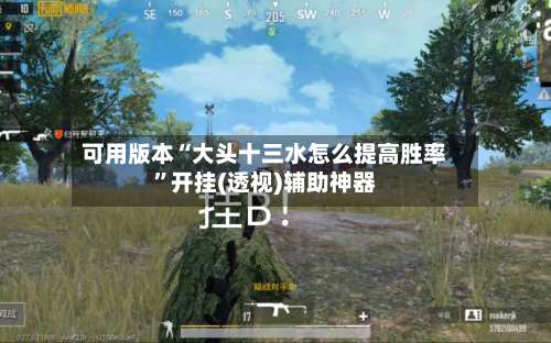 可用版本“大头十三水怎么提高胜率”开挂(透视)辅助神器-第1张图片