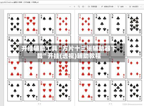 开挂辅助工具“方片十三张辅助器下载”开挂(透视)辅助教程-第2张图片