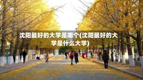 沈阳最好的大学是哪个(沈阳最好的大学是什么大学)-第2张图片
