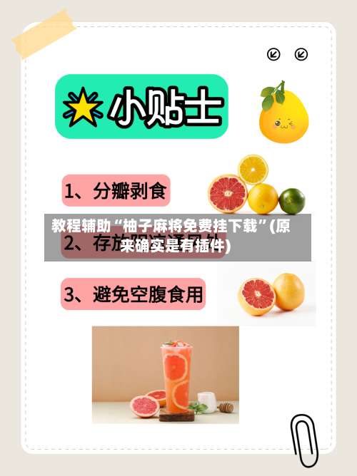 教程辅助“柚子麻将免费挂下载	”(原来确实是有插件)-第1张图片