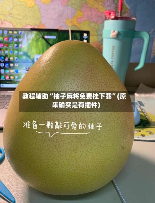 教程辅助“柚子麻将免费挂下载”(原来确实是有插件)-第3张图片