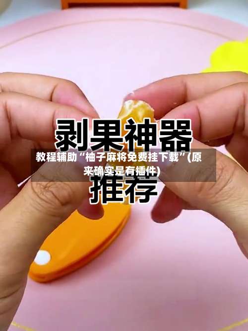 教程辅助“柚子麻将免费挂下载”(原来确实是有插件)-第2张图片