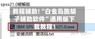 教程辅助!“白金岛跑胡子辅助软件	”通用版下载教程！-第2张图片