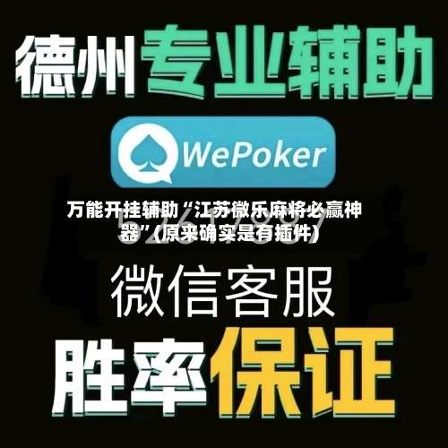 万能开挂辅助“江苏微乐麻将必赢神器”(原来确实是有插件)-第3张图片