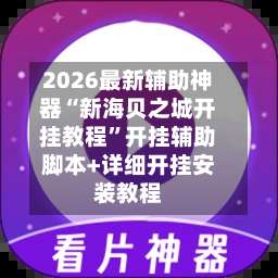 2026最新辅助神器“新海贝之城开挂教程”开挂辅助脚本+详细开挂安装教程-第2张图片