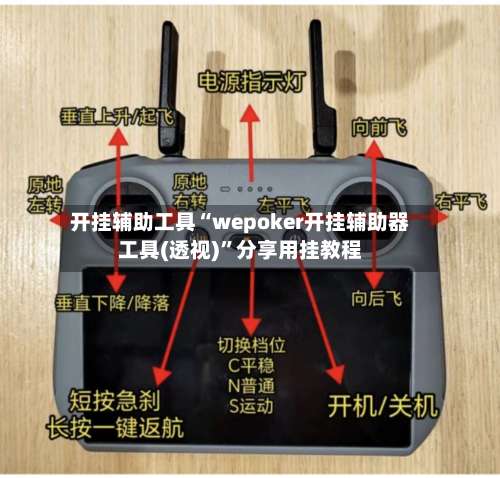 开挂辅助工具“wepoker开挂辅助器工具(透视)”分享用挂教程-第1张图片