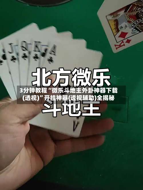 3分钟教程“微乐斗地主外卦神器下载(透视)”开挂神器{透视辅助}全揭秘-第2张图片