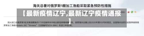 【最新疫情辽宁,最新辽宁疫情通报】-第2张图片