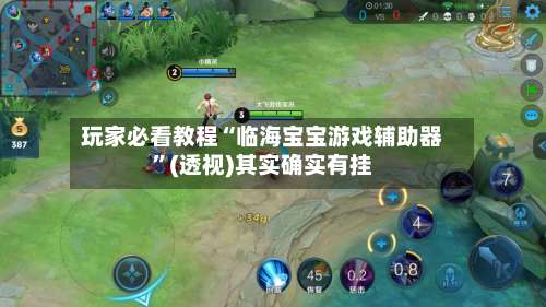 玩家必看教程“临海宝宝游戏辅助器”(透视)其实确实有挂-第3张图片