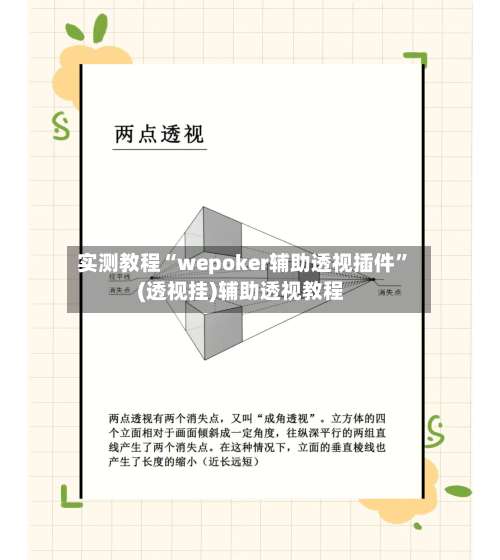 实测教程“wepoker辅助透视插件	”(透视挂)辅助透视教程-第1张图片