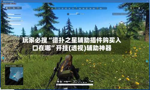 玩家必搜“德扑之星辅助插件购买入口在哪	”开挂(透视)辅助神器-第2张图片