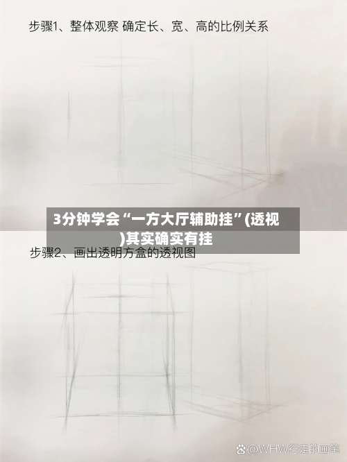 3分钟学会“一方大厅辅助挂”(透视)其实确实有挂-第1张图片