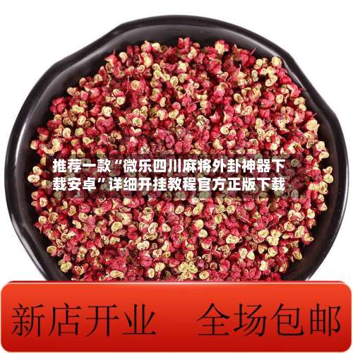 推荐一款“微乐四川麻将外卦神器下载安卓”详细开挂教程官方正版下载-第2张图片