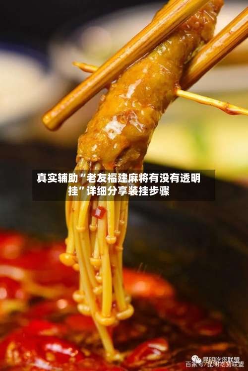 真实辅助“老友福建麻将有没有透明挂”详细分享装挂步骤-第3张图片