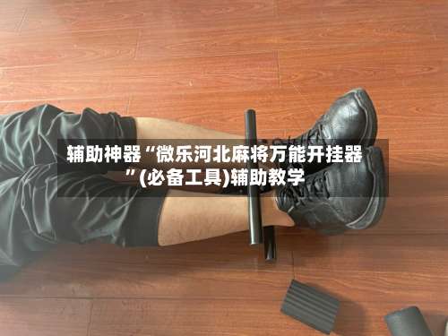 辅助神器“微乐河北麻将万能开挂器	”(必备工具)辅助教学-第1张图片