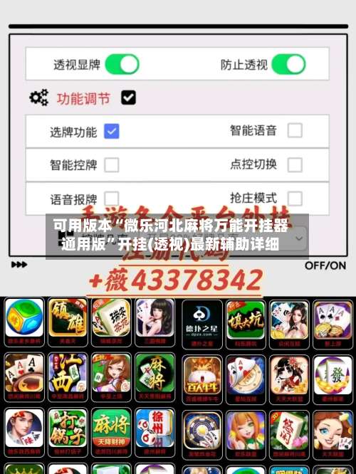 可用版本“微乐河北麻将万能开挂器通用版”开挂(透视)最新辅助详细-第3张图片