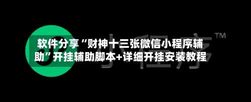 软件分享“财神十三张微信小程序辅助”开挂辅助脚本+详细开挂安装教程-第3张图片