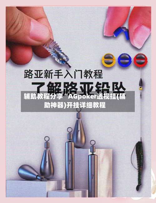 辅助教程分享“AGpoker透视挂(辅助神器)开挂详细教程-第3张图片