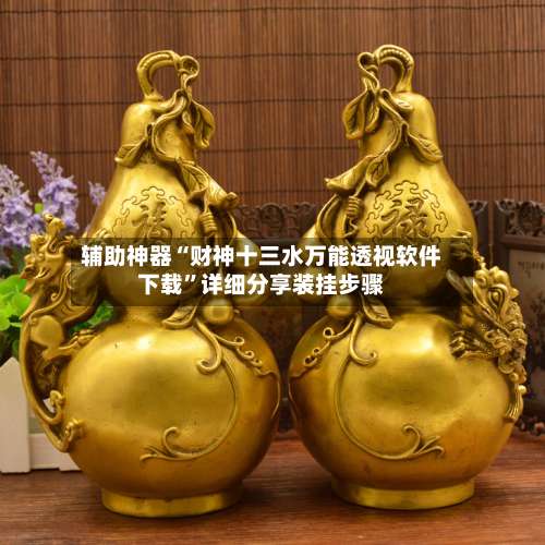 辅助神器“财神十三水万能透视软件下载	”详细分享装挂步骤-第3张图片