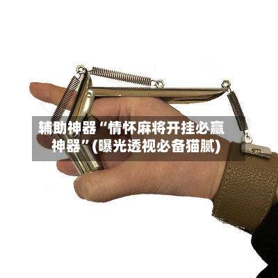 辅助神器“情怀麻将开挂必赢神器”(曝光透视必备猫腻)-第1张图片