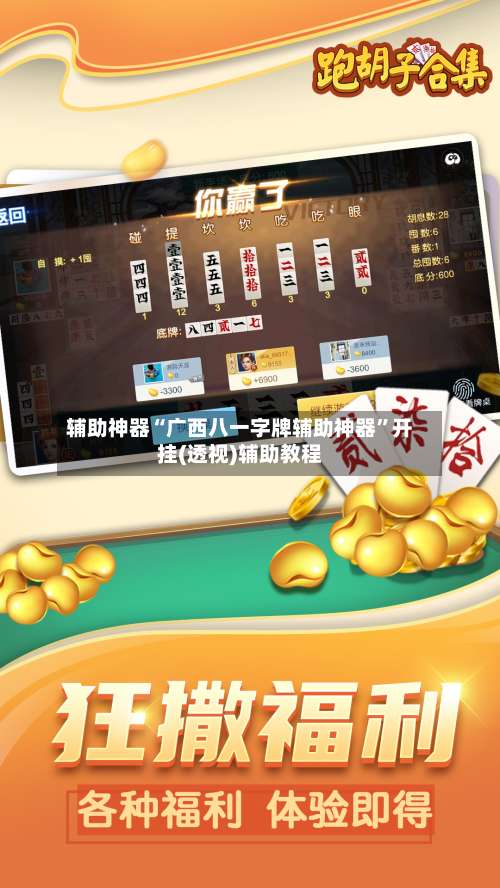 辅助神器“广西八一字牌辅助神器”开挂(透视)辅助教程-第2张图片