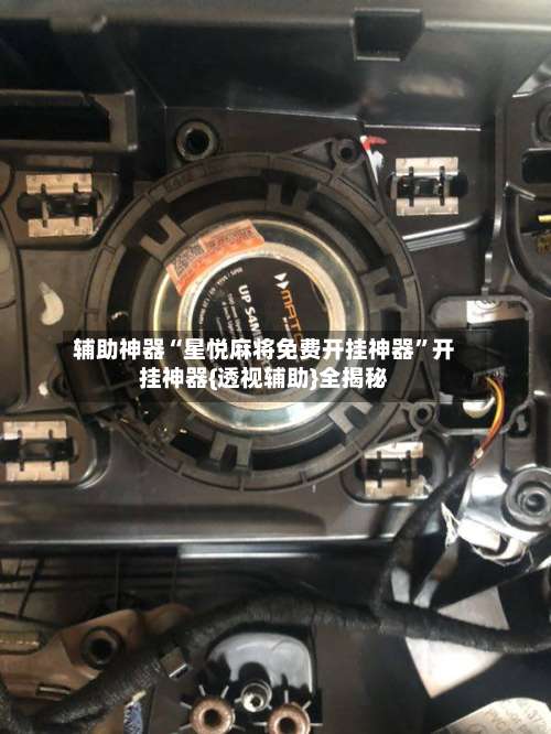 辅助神器“星悦麻将免费开挂神器	”开挂神器{透视辅助}全揭秘-第1张图片