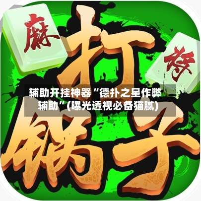 辅助开挂神器“德扑之星作弊辅助”(曝光透视必备猫腻)-第2张图片