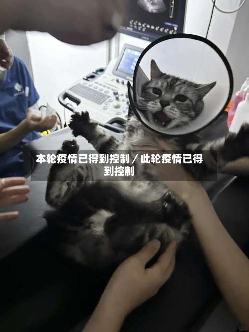 本轮疫情已得到控制／此轮疫情已得到控制-第3张图片