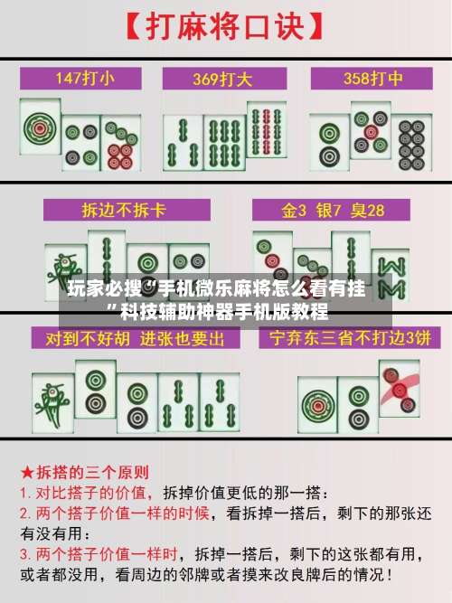 玩家必搜“手机微乐麻将怎么看有挂”科技辅助神器手机版教程-第2张图片